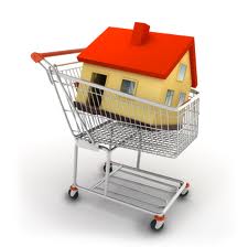 house shopping cart.jpg